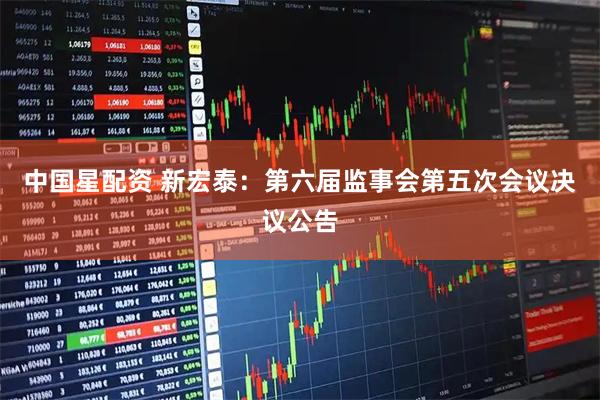 中国星配资 新宏泰：第六届监事会第五次会议决议公告