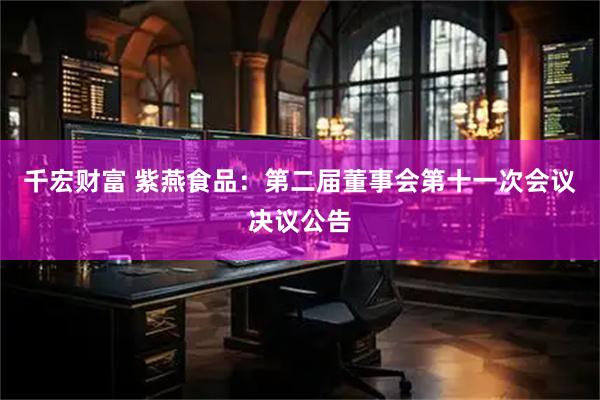 千宏财富 紫燕食品：第二届董事会第十一次会议决议公告