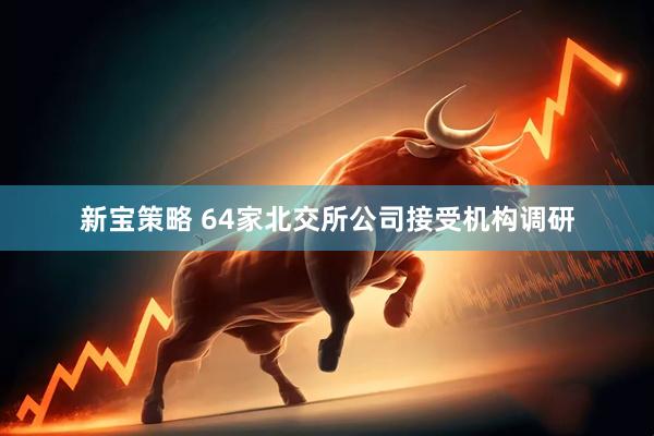 新宝策略 64家北交所公司接受机构调研