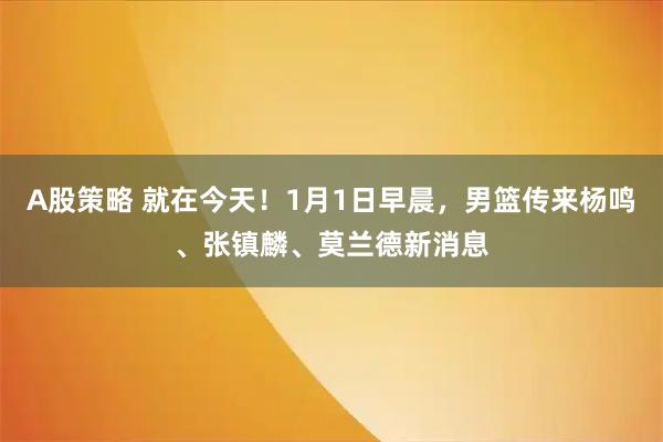 A股策略 就在今天！1月1日早晨，男篮传来杨鸣、张镇麟、莫兰德新消息