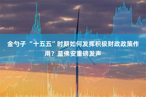 金勺子 “十五五”时期如何发挥积极财政政策作用？蓝佛安重磅发声