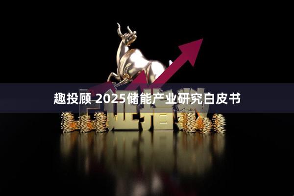 趣投顾 2025储能产业研究白皮书